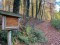 Forest_Trail_Alzette_Valley_Pulvermuhl_District_Luxembourg-City